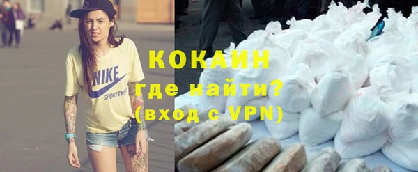 шишки Алексин