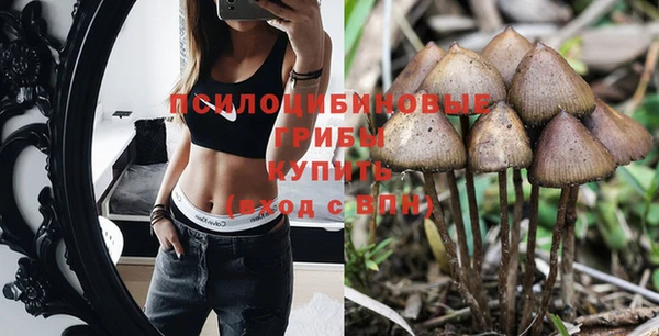 героин Алзамай