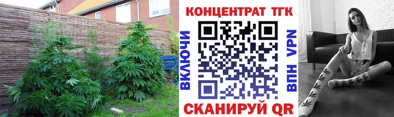 Дистиллят ТГК жижа Анжеро-Судженск